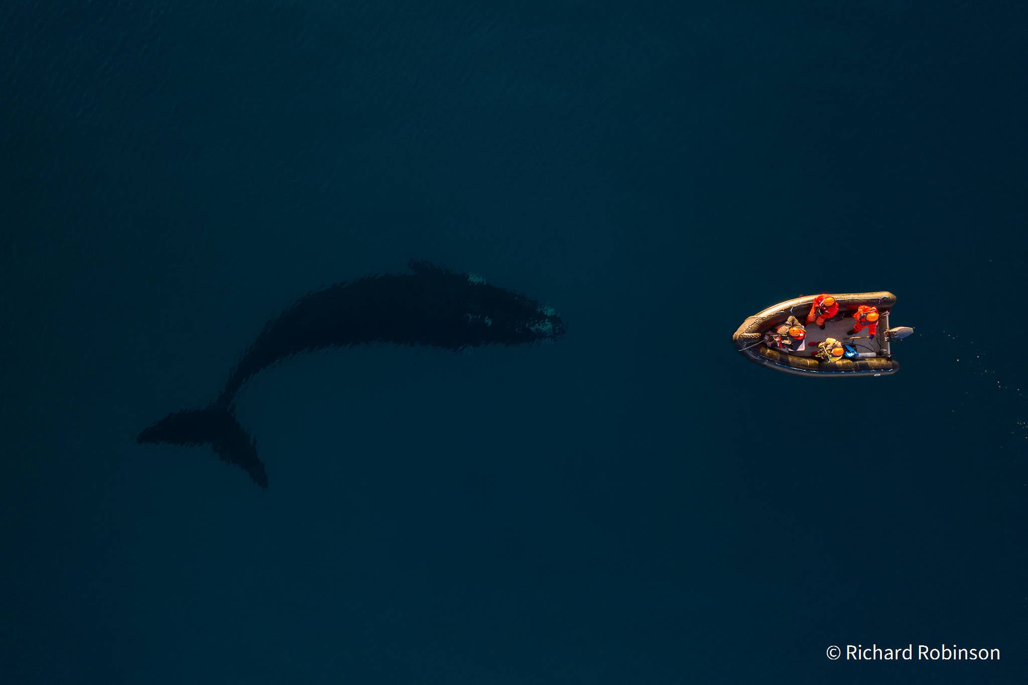 An entry from the "Our Impact" category, 2021 Australian Geographic Nature Photographer of the Year awards.