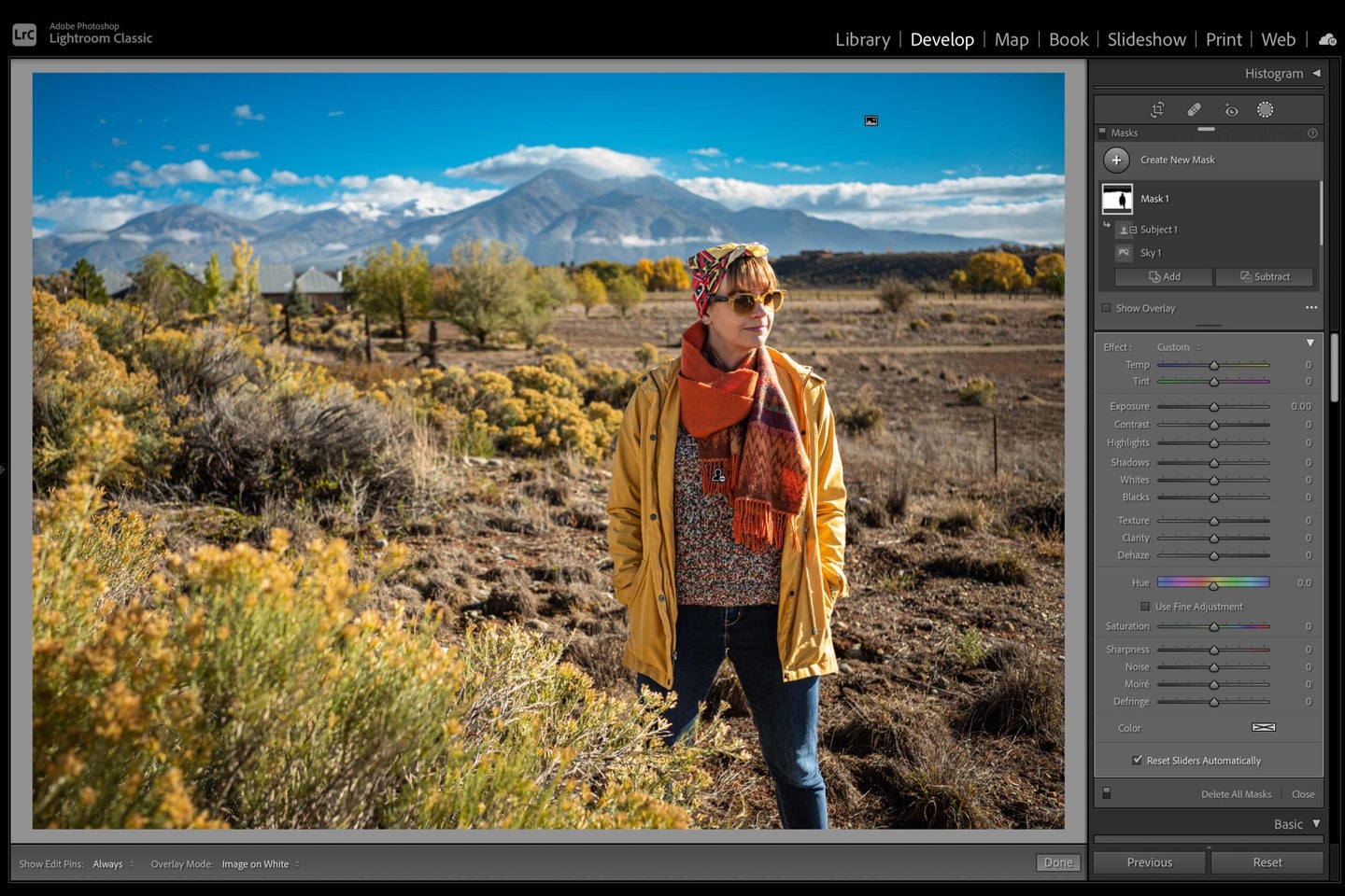 A screenshot of Adobe's new masking tool