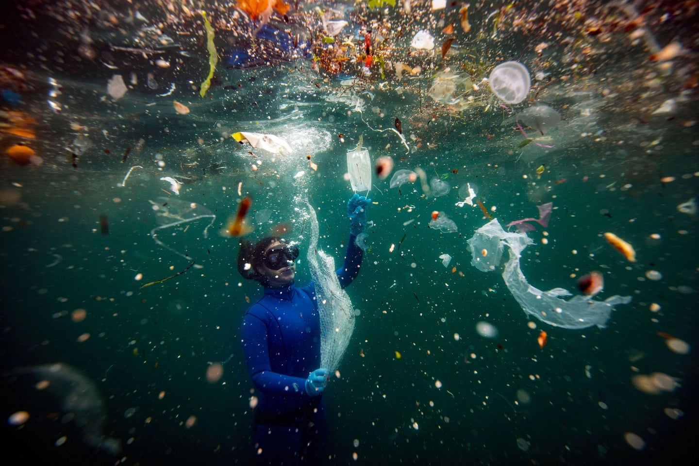 New danger to underwater life as medical waste used during the pandemic reaches the seas