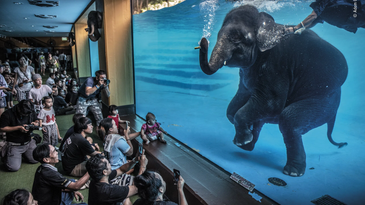 The best wildlife photography of 2021 The best wildlife photography of 2021