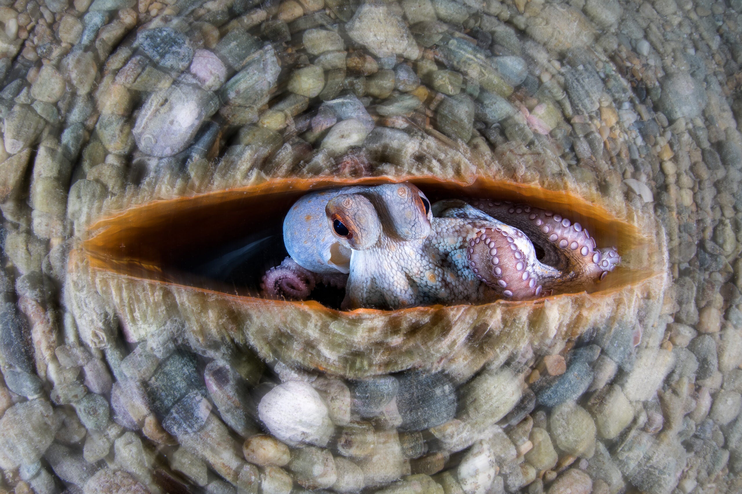 Winner, Underwater