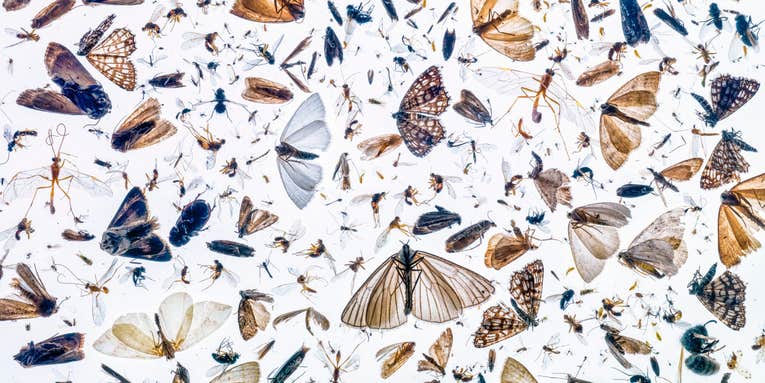 The best close-up photos of 2021 The best close-up photos of 2021