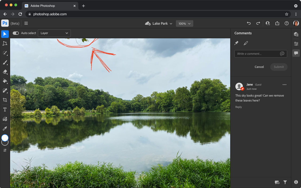 Annotations in Photoshop