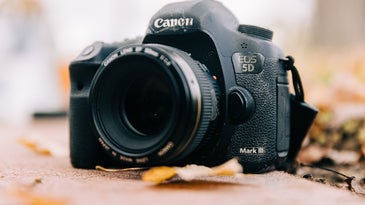 The best used cameras to buy right now