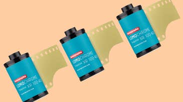Lomography is bringing back its weird/popular LomoChrome Turquoise film Lomography is bringing back its weird/popular LomoChrome Turquoise film