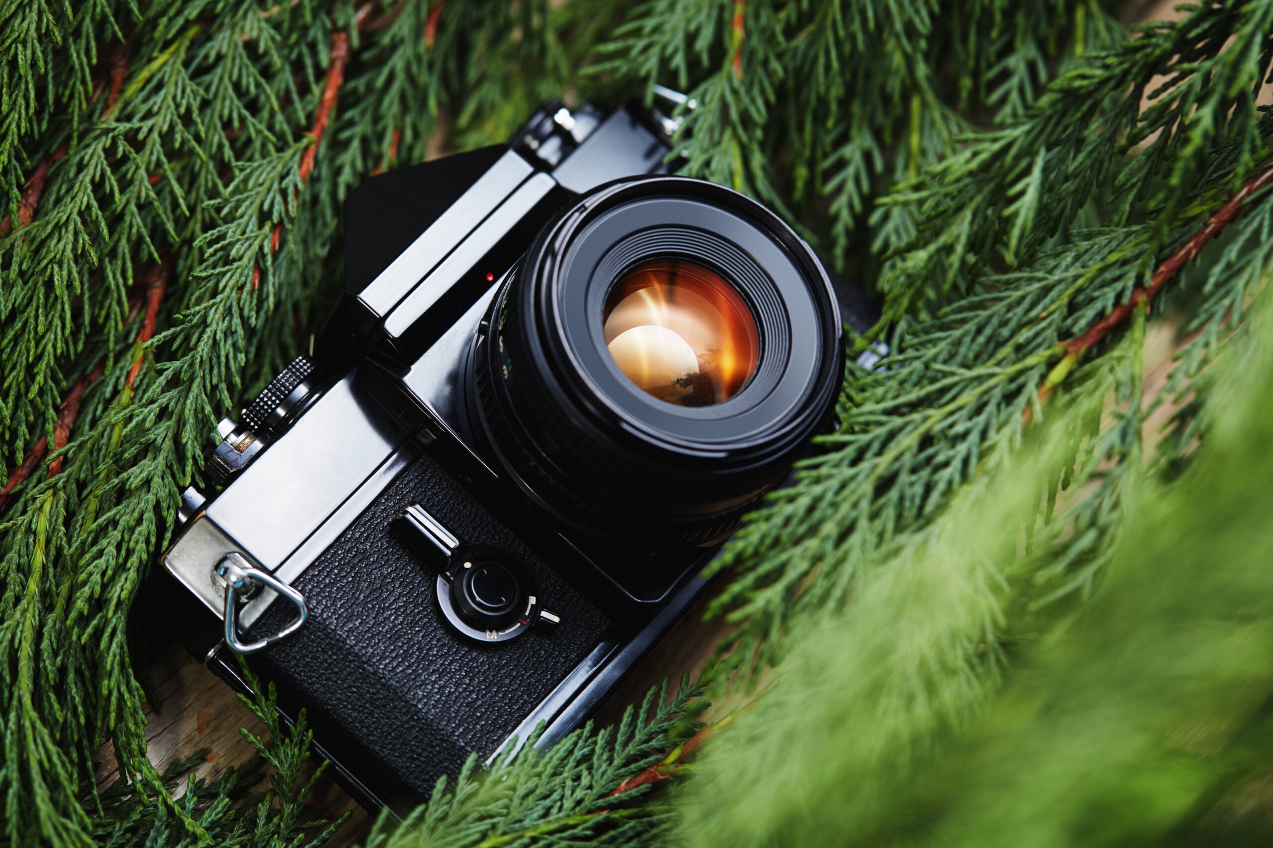 Best gifts for film photography