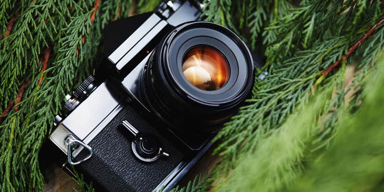 Best gifts for film photography devotees