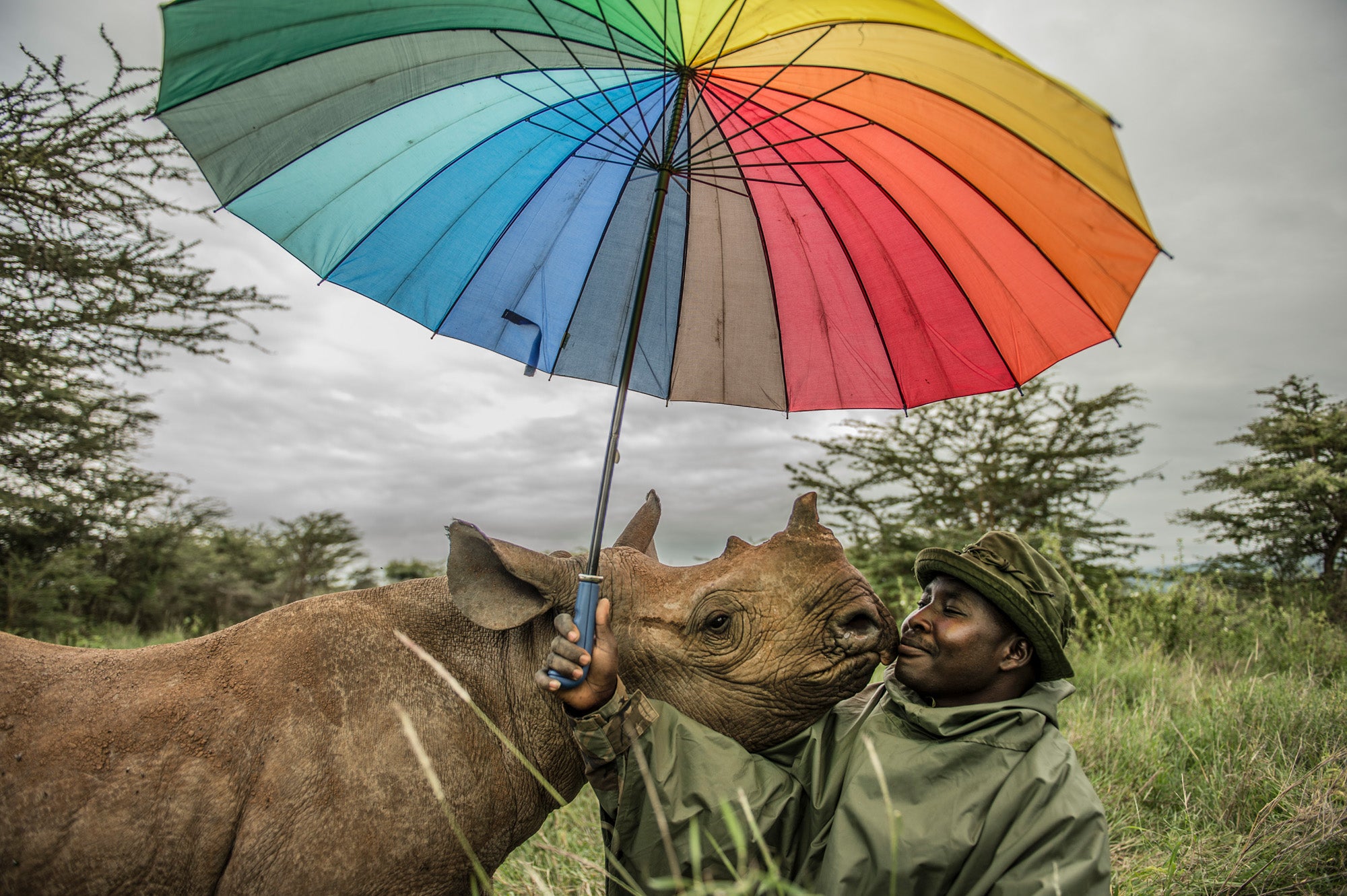 A baby rhino and it handler.