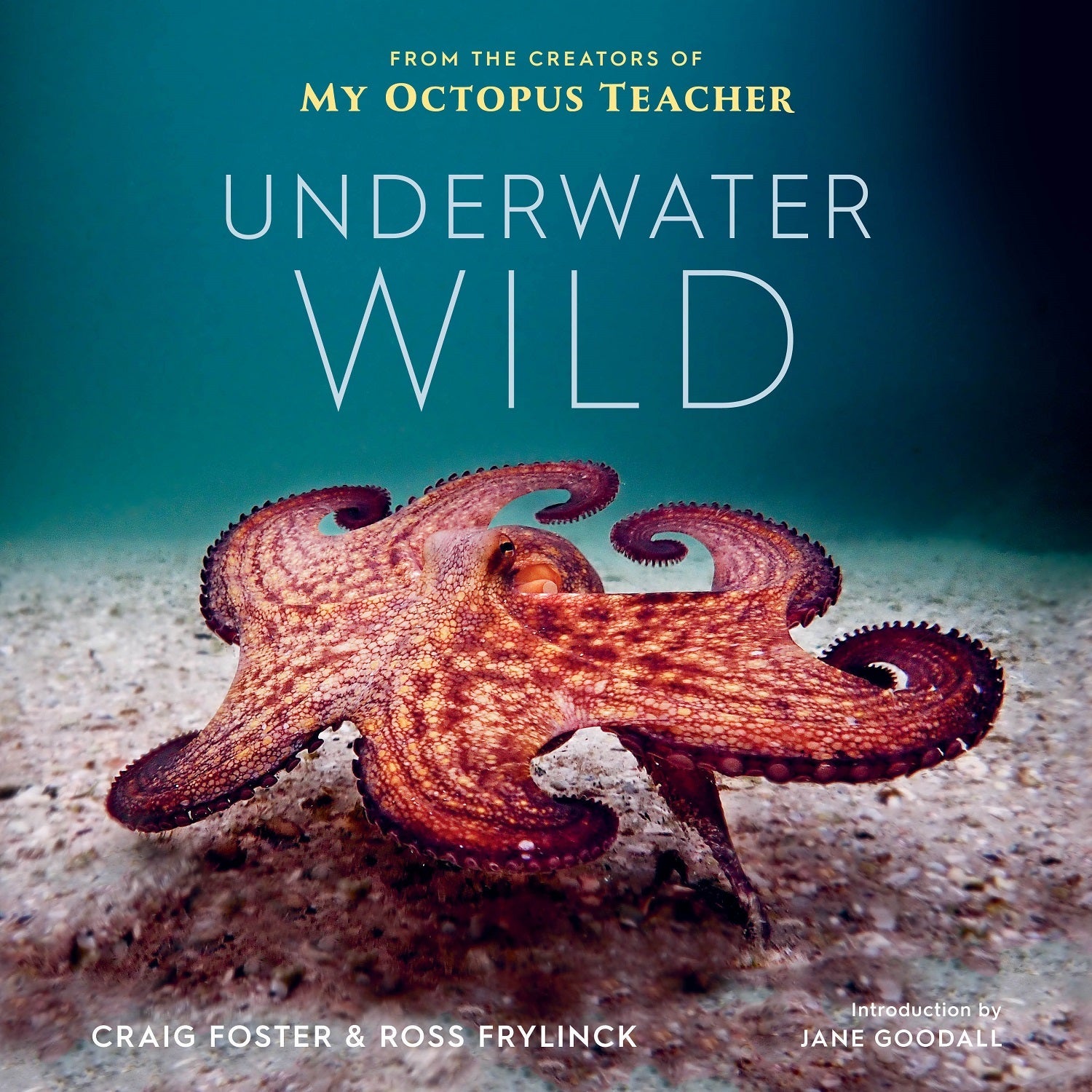 The new photo book, "Underwater Wild."