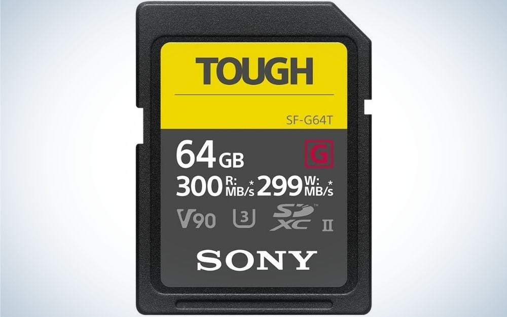 Sony SD card is the best travel gift.