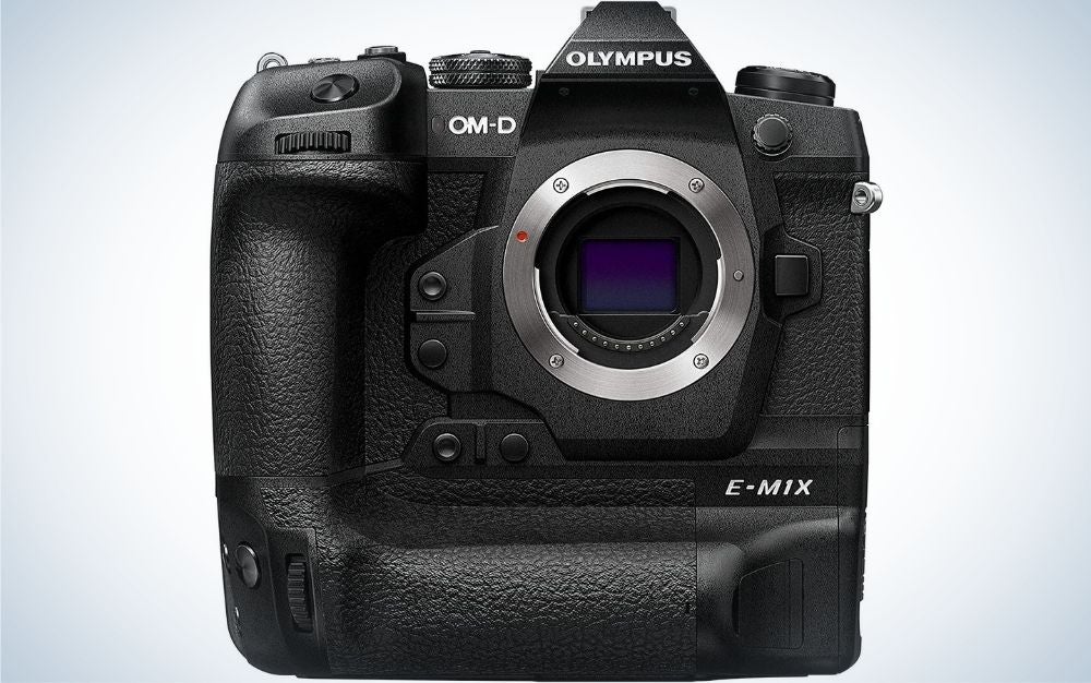 Best Olympus cameras in 2022 EditionsPhotoArt