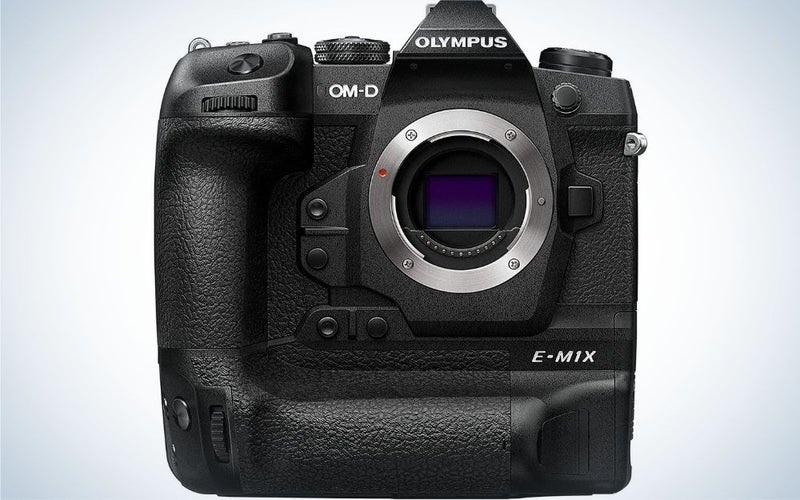 Olympus OM-E-M1X is the best Olympus camera.