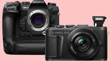 The best Olympus cameras in 2023