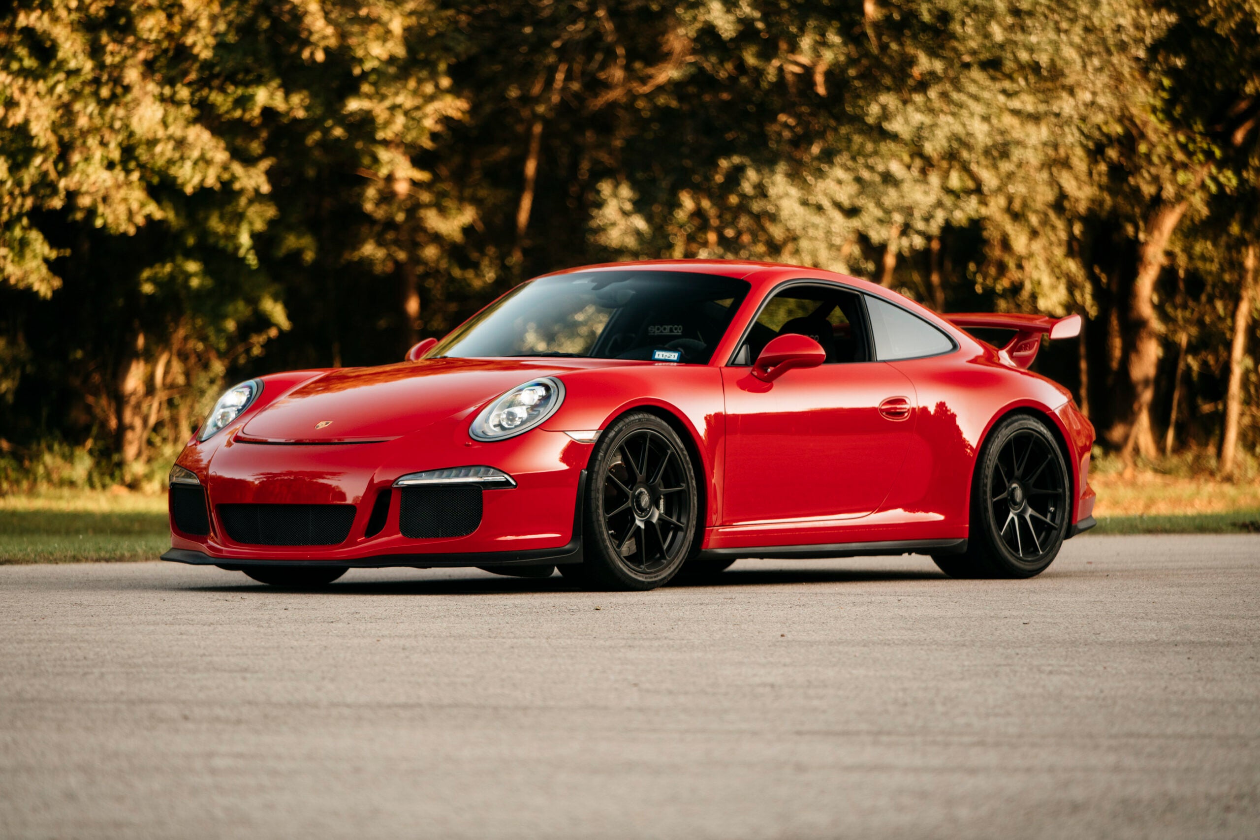 Porsche in front of some bushes