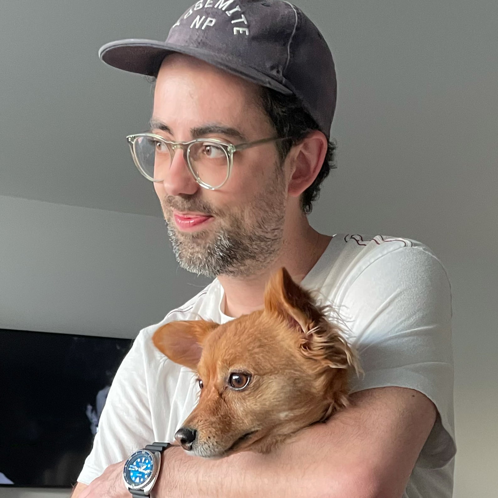 Blackmagic Pocket Cinema Camera:Betaalbare RAW-video voor filmmakers 