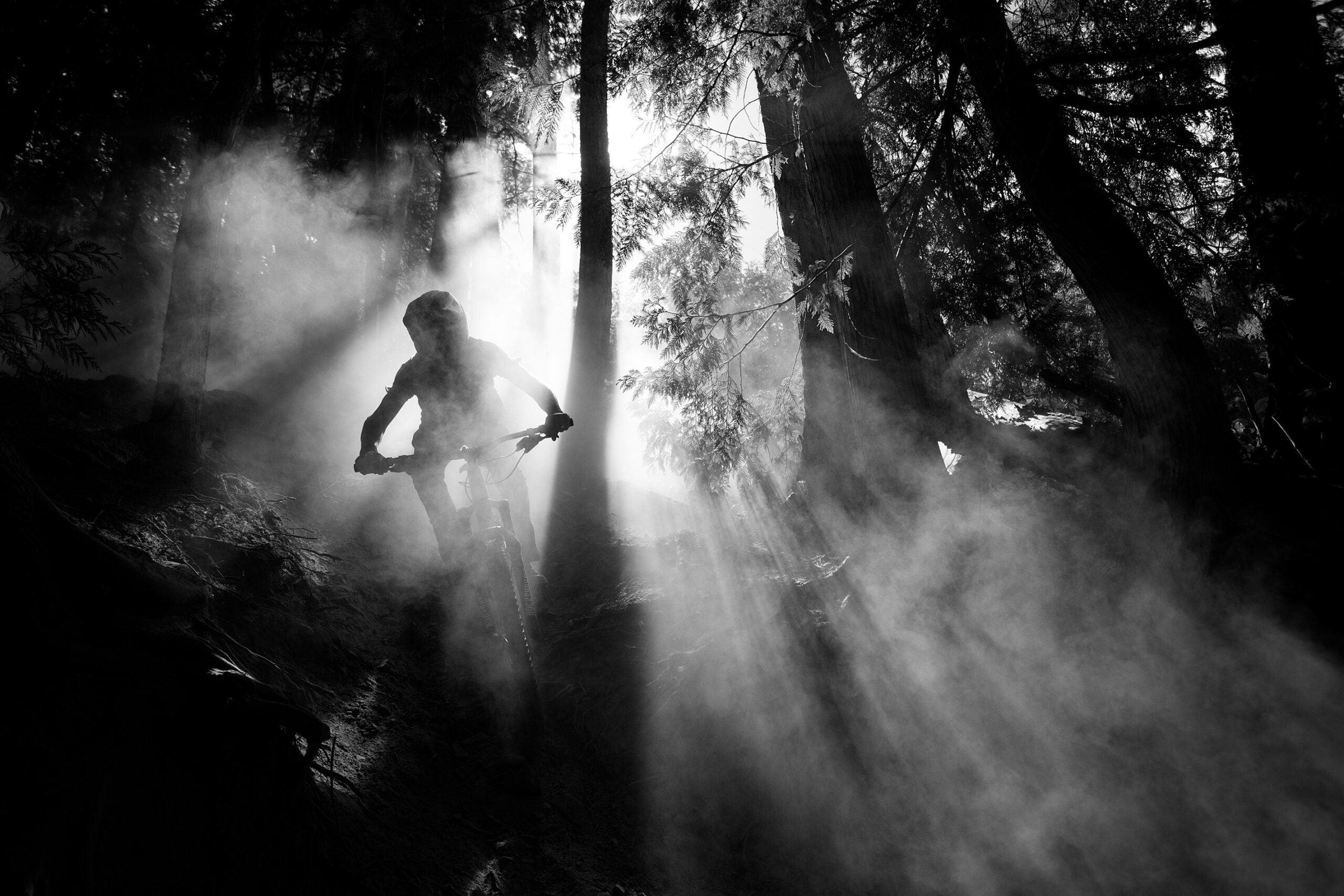 The image depicts mountain biker Dylan Siggers riding through a sun-pierced cloud of dust.