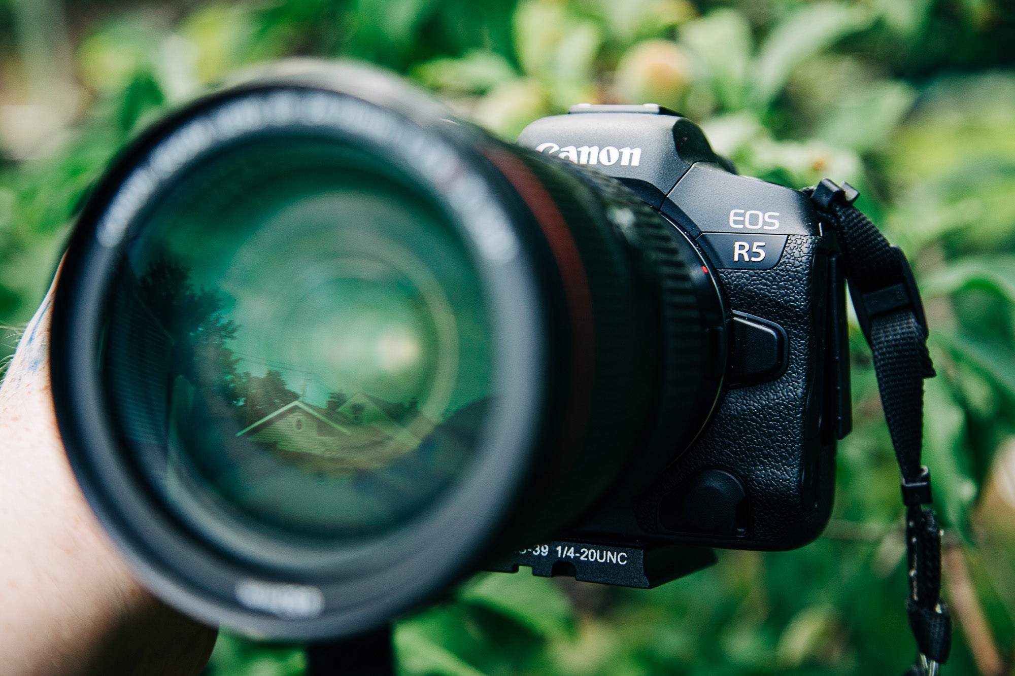 The most rented cameras and lenses of the year