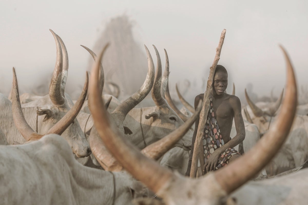 1st Place: Culture, Amateur - "Mundari Cattle Herder."