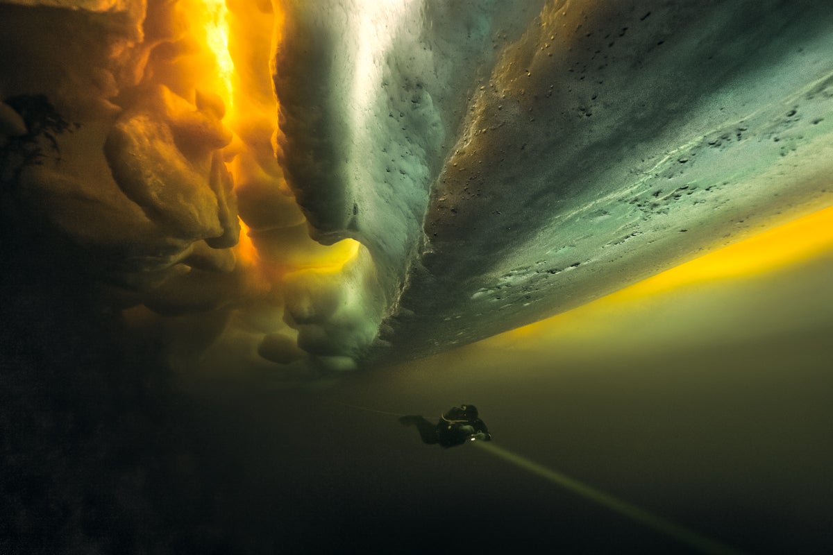 Chromatic Discovery of the Year, Professional - Czech Republic, "Under the White Sea ice."