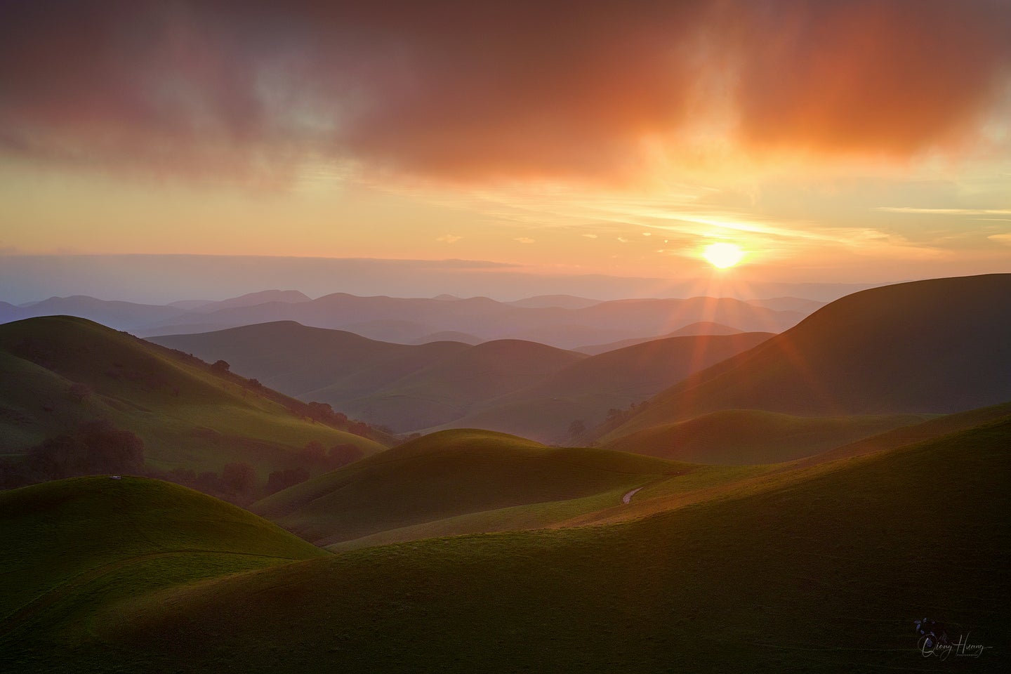 Beautiful rolling hills painted by pink golden light of sunset.