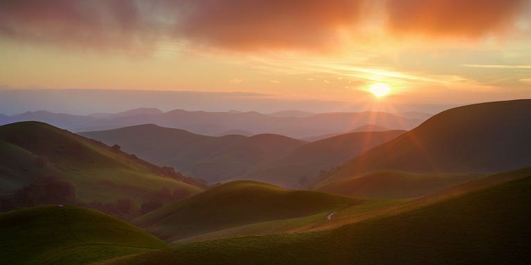 Wispy whiskers, a stunning light show, and our other favorite Photos of the Day