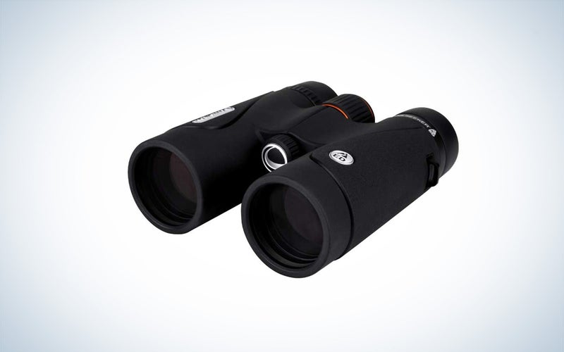Celestron the Best bincoulars for bird watching