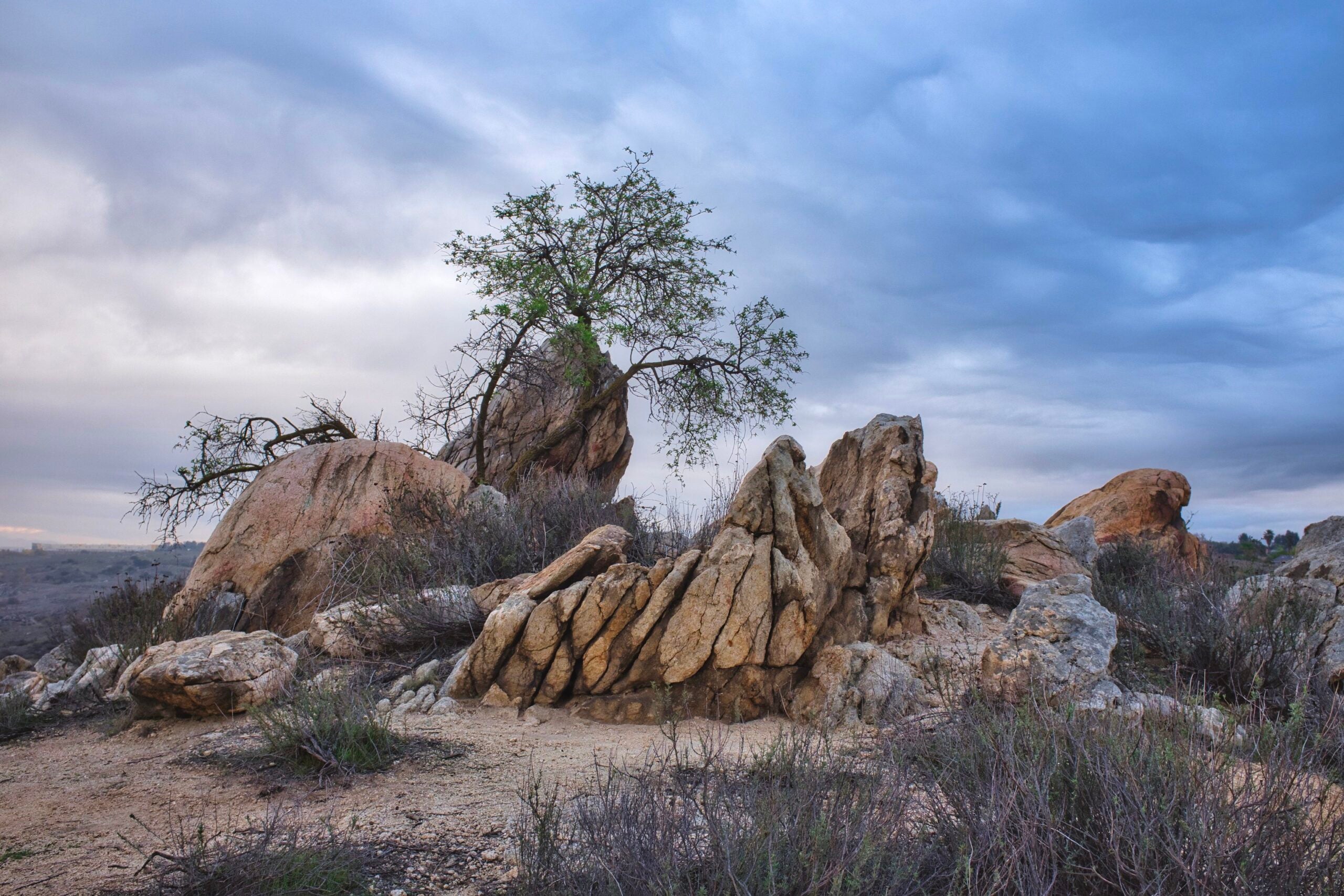 Landscape photo by Dang Nguyen