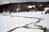 Carefully monitored bison are herded to a trap for tagging and testing for disease in Yellowstone National Park.