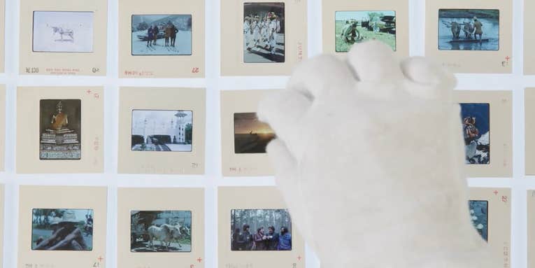 ‘Revival’ documentary wants to tell the story of film photography’s resurgence ‘Revival’ documentary wants to tell the story of film photography’s resurgence