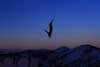 Felix Cormier-Boucher of Canada takes a run during training for the Mixed Team Aerials at the FIS Freestyle Ski World Championships on February 07, 2019 at Deer Valley Resort in Park City, Utah.