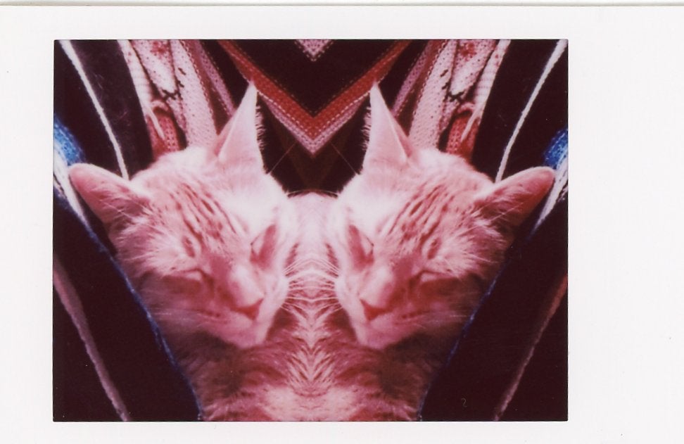 An example of the Instax Mini Evo Hybrid's mirror effect. 
