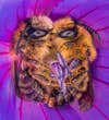 Two bees in a flower