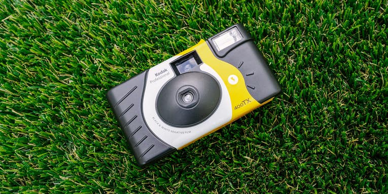 The best disposable cameras of 2023