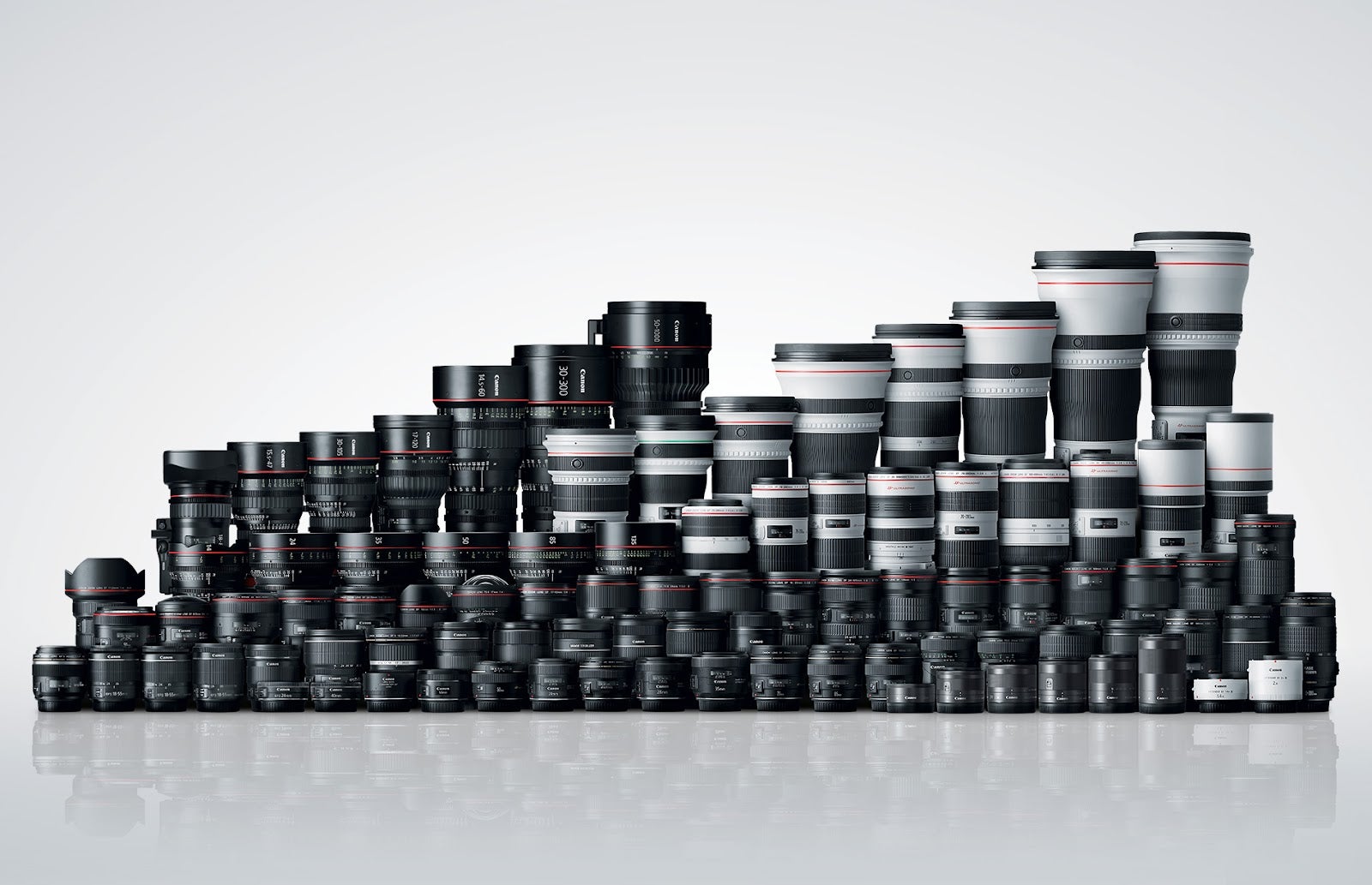 A photo of Canon lenses.