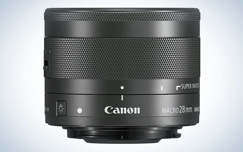 The best macro lenses for Canon for 2023 Popular Photography