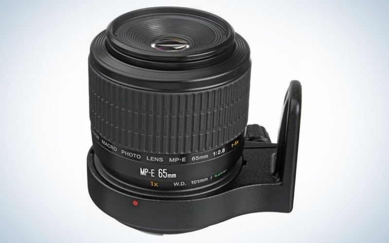 Canon MP-E 65mm f/2.8 1-5x Macro Photo Lens is the best for professional photographers.