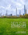 The cover of Peterson's new photobook, "New York City Stilled Life."