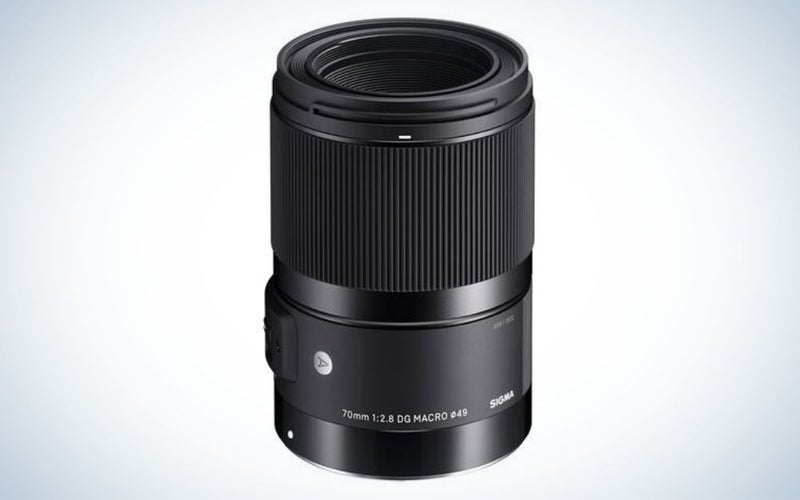 Sigma 70mm f/2.8 DG Macro Art Lens is the best third party lens.