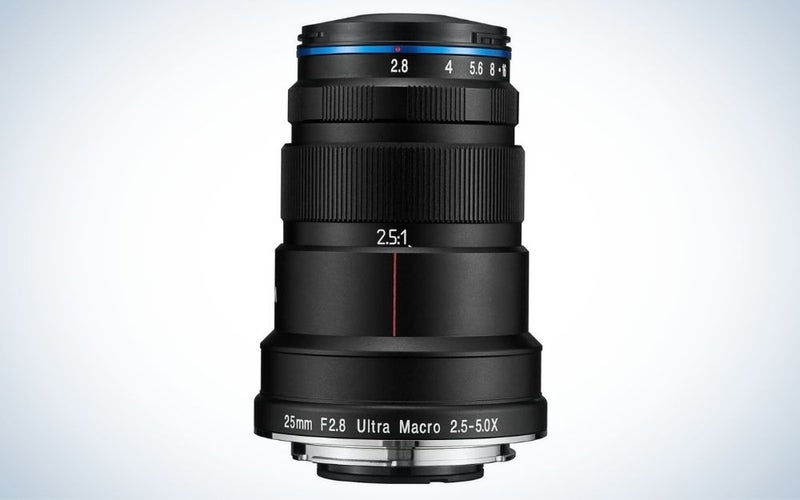 The best macro lenses for Canon for 2023 Popular Photography