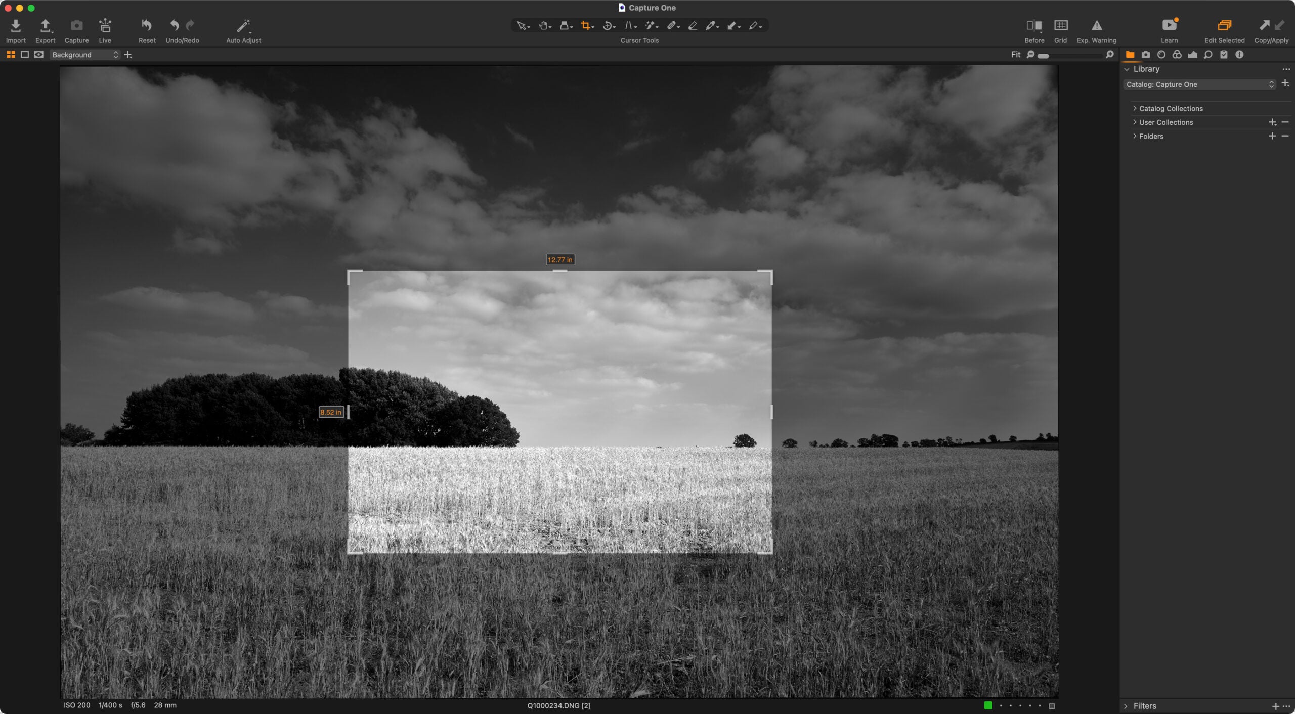 A B&W photo of a field.