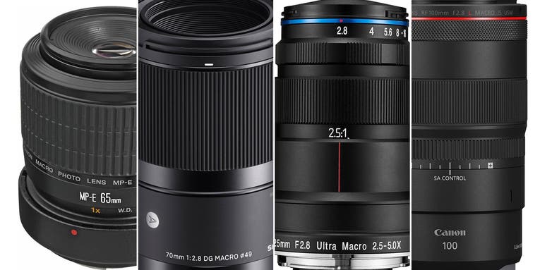 The best macro lenses for Canon in 2023