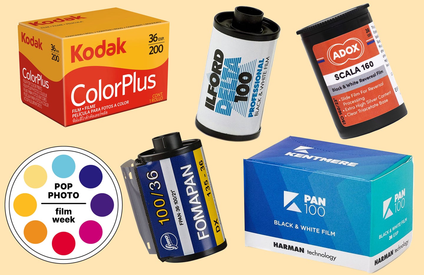 An image showing five different affordable 35mm film stocks