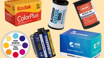 An image showing five different affordable 35mm film stocks
