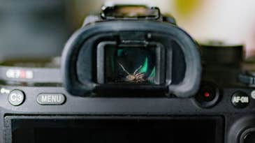 Photographer discovers a live spider inside the viewfinder of his Sony a7R III, keeps on shooting