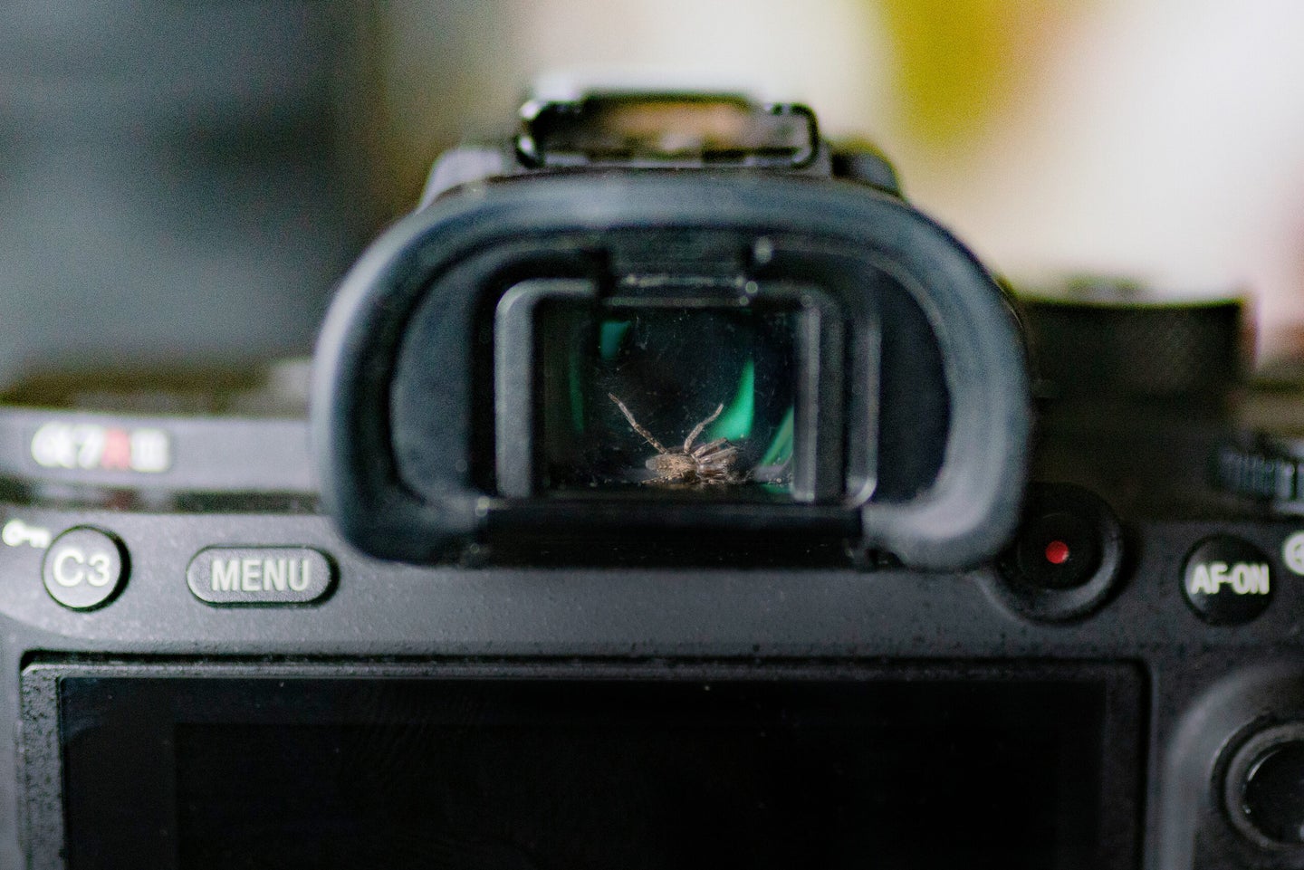 A live spider stuck inside the viewfinder of a Sony a7R III camera.