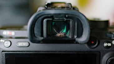 A live spider stuck inside the viewfinder of a Sony a7R III camera.