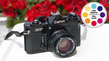 A canon film camera sitting on a white ledge with red flowers behind it.