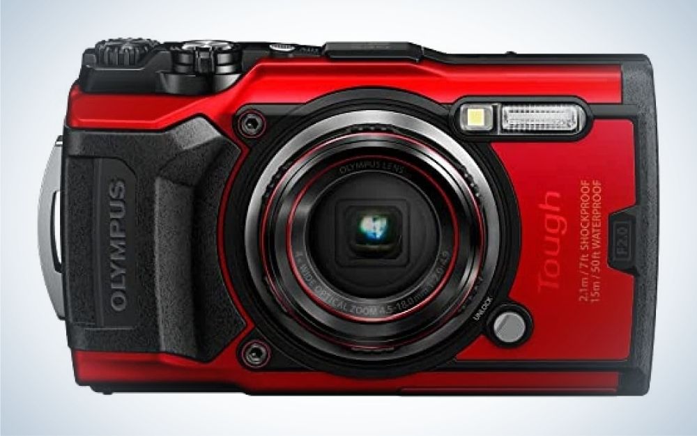 The best low light cameras of 2023 | Popular Photography