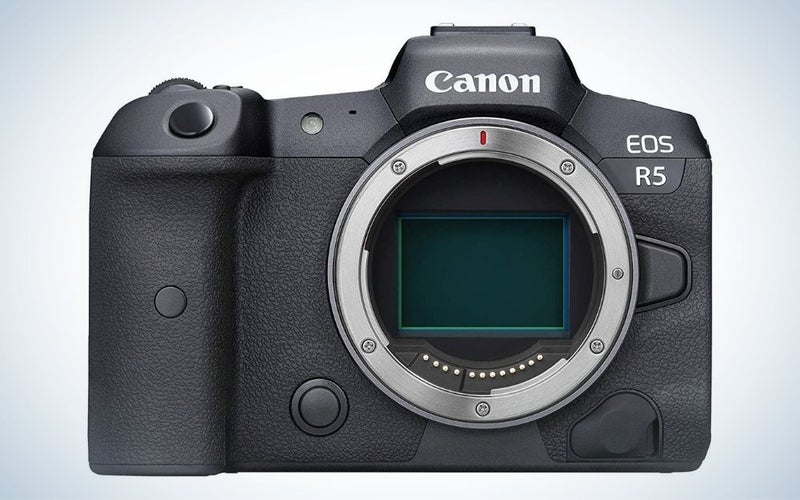Canon EOS R5 is the best honorable mention camera for wildlife photography.