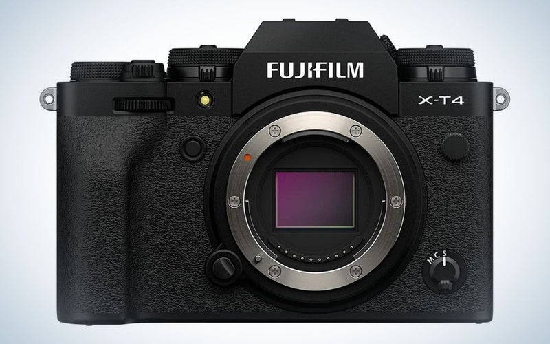 fujifilm camera for wildlife photography